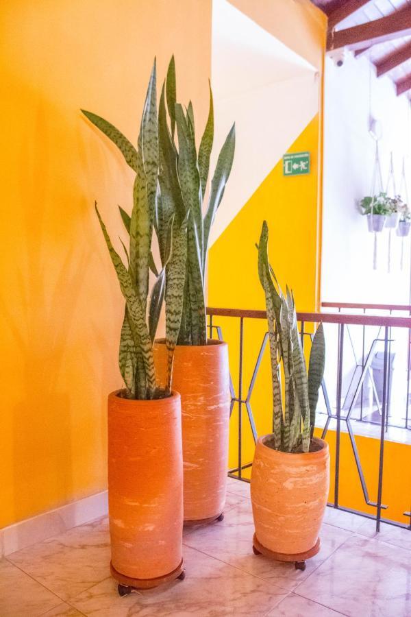 Hotel Porton Colonial Medellín Eksteriør bilde
